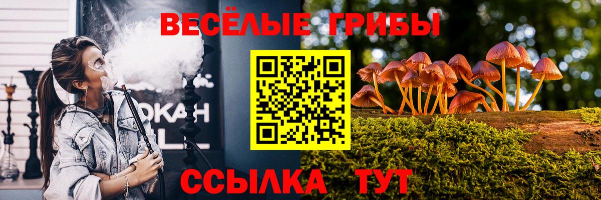 Киров  Псилоцибиновые грибы мицелий  Вход с VPN 