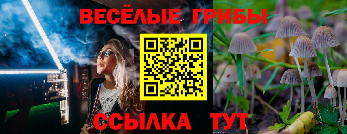 Меф МЯУ МЯУ   ЭКСТАЗИ  Каннабис  Кокаин  Вход с VPN  LSD-25  Киров  ГАШИШ 